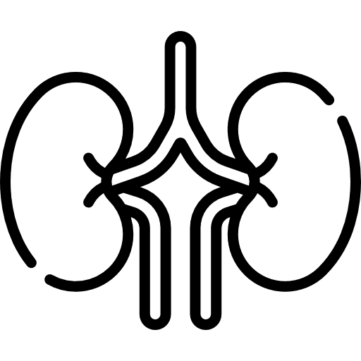Urinary tract infection (UTI) icon